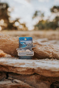 Artist Series Magnet - Penny the Pliosaur