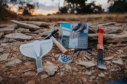 Deluxe Fossil Hunting Kit