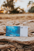 Postcard - Eromangasaurus australis