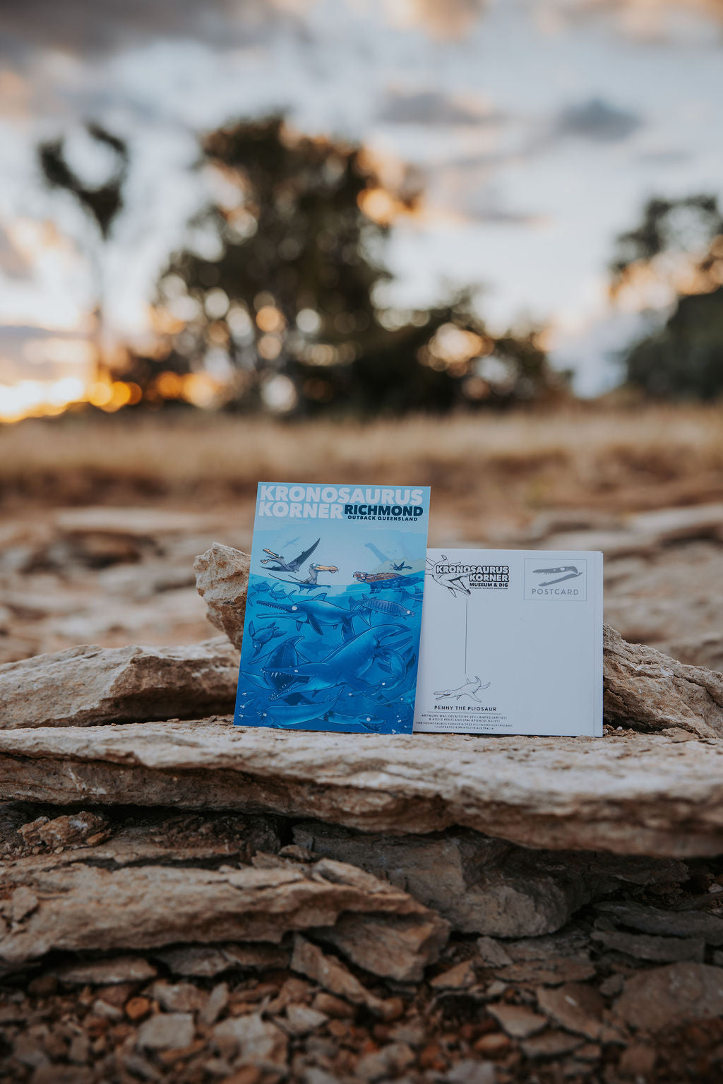 Postcards - Set of 7
