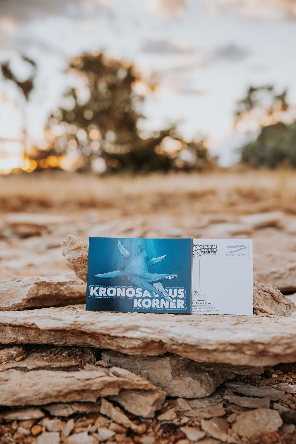 Postcard -   Kronosaurus Queenslandicus