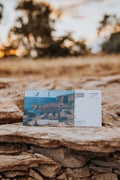 Postcard - Kunbarrasaurus Ieversi