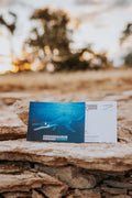 Postcard - Penny the Pliosaur