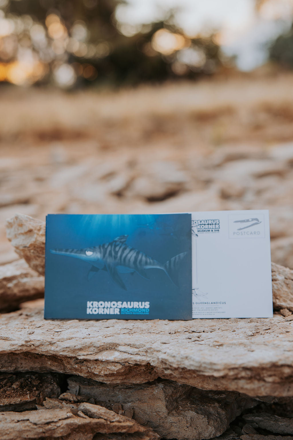 Postcards - Set of 7
